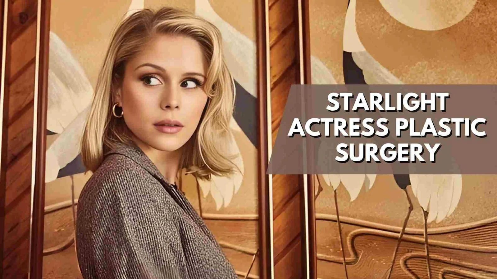 Starlight Actress Plastic Surgery