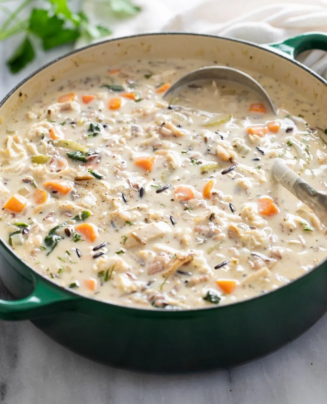 chicken and rice soup